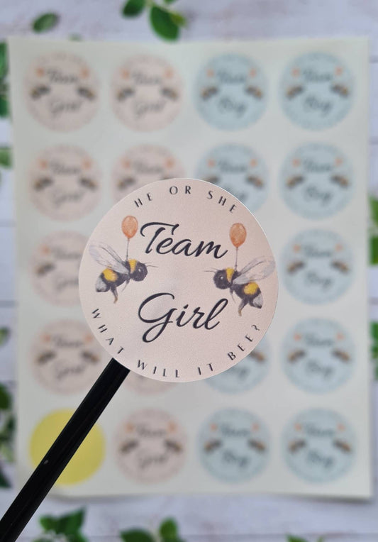 Glossy bee team girl team boy stickers, 20 per sheet, gender reveal, gender reveal ideas, baby girl, baby boy, party stickers, baby stickers